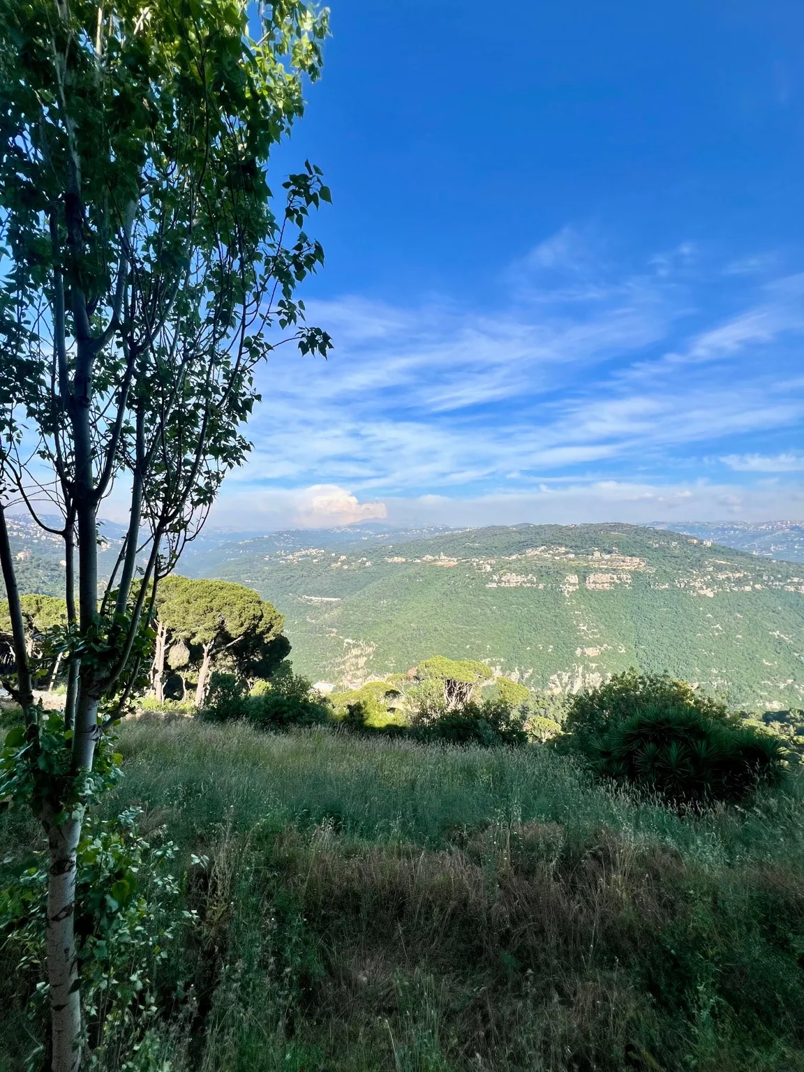 Green mountain panorama and clear blue sky